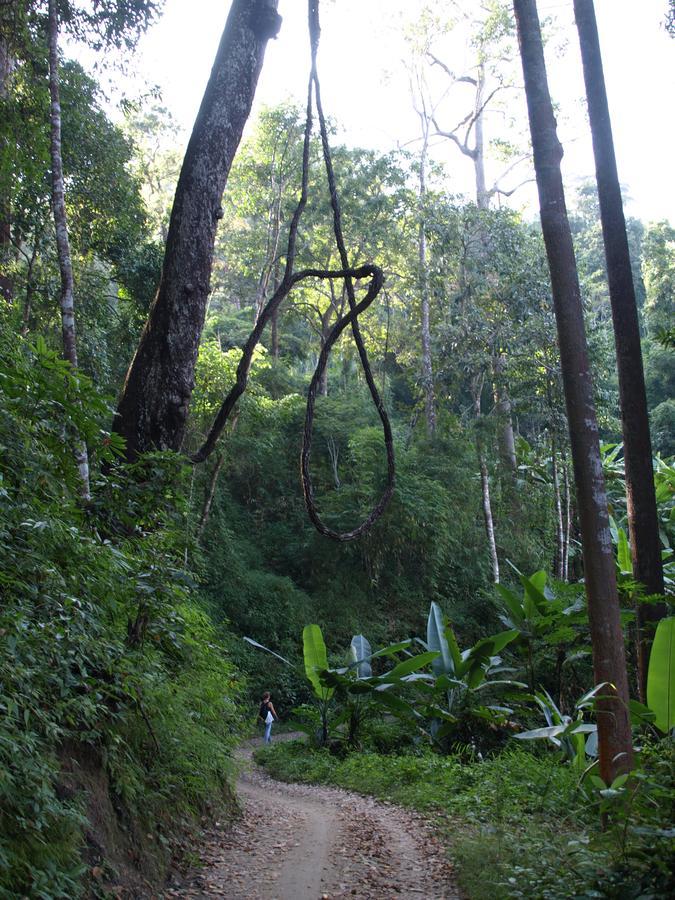 Tonnam Homestay Chiang Mai Eksteriør bilde